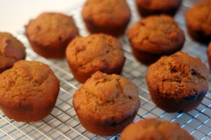 Pumpkin Walnut Snack Muffins Photo